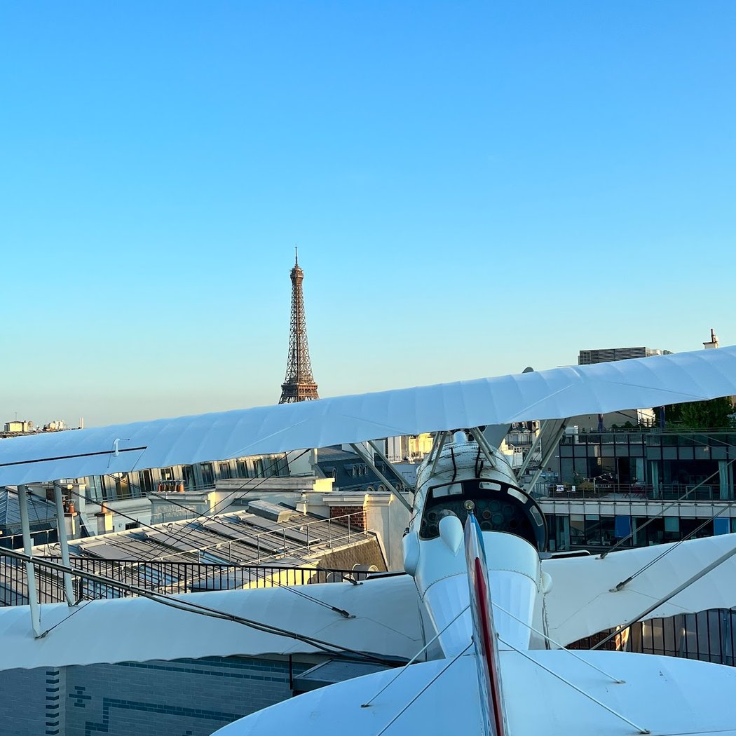 L'Oiseau Blanc 5